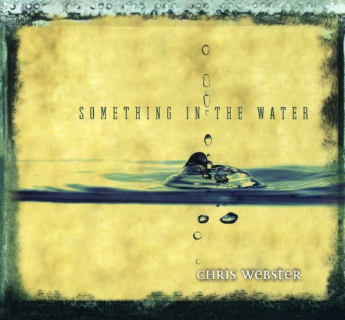 the album cover for Chris Webster - Something in the Water