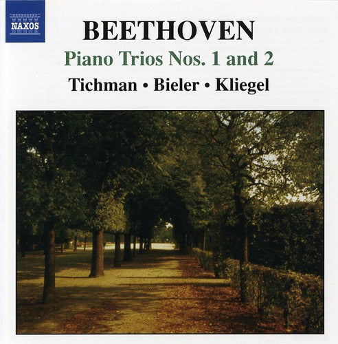the album cover for Nina Tichman - Piano Trios 2