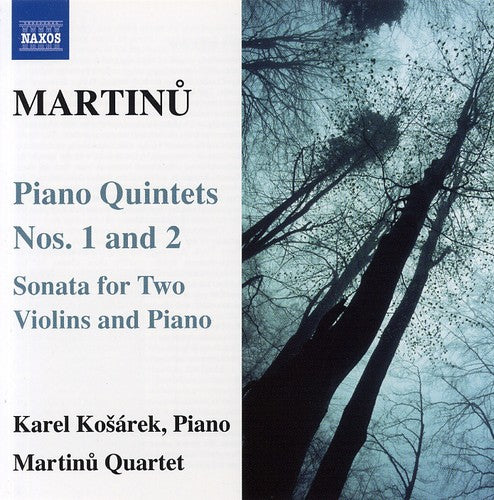 the album cover for Karel Kosárek - Piano Quartets 1 & 2