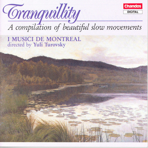 the album cover for Yuli Turovsky - Tranquility / Various