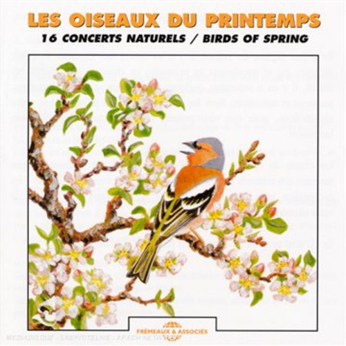 the album cover for Sounds Of Nature - Birds of Spring