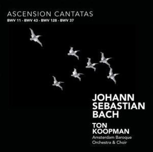 the album cover for Amsterdam Baroque Choir - Ascension Cantatas