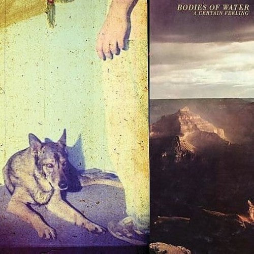the album cover for Bodies Of Water - A Certain Feeling