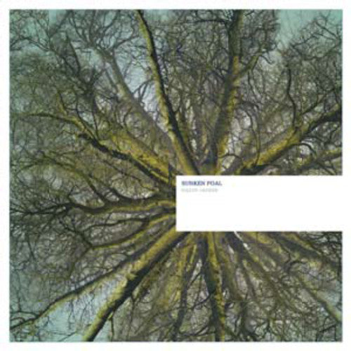 the album cover for Sunken Foal - Fallen Arches