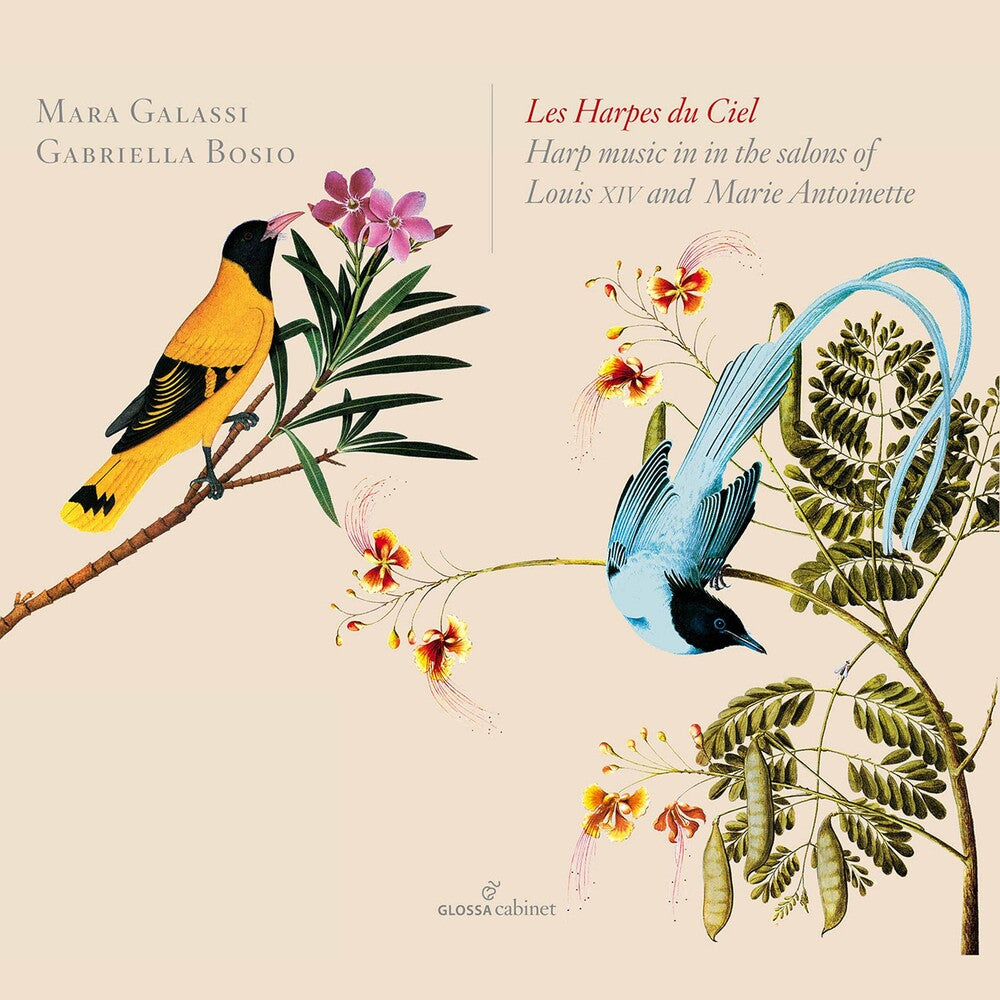 the album cover for Meyer / Cosway / Bach / Galassi / Bosio - Galassi, M : Les Harpes Du Ciel
