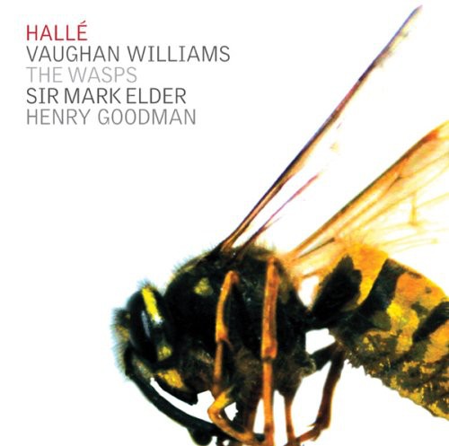 the album cover for R. Vaughan Will - Wasps