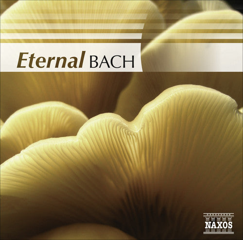 the album cover for Eternal Bach / Various - Eternal Bach / Various