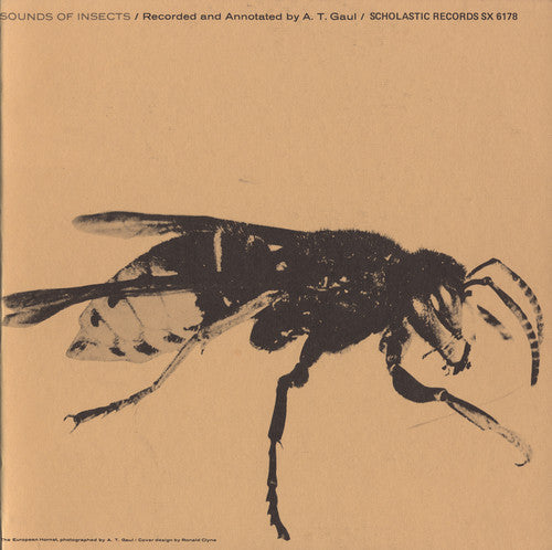 the album cover for Sounds Of Insects - Sounds of Insects / Various