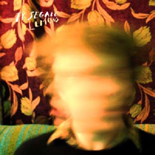 the album cover for Ty Segall - Lemons