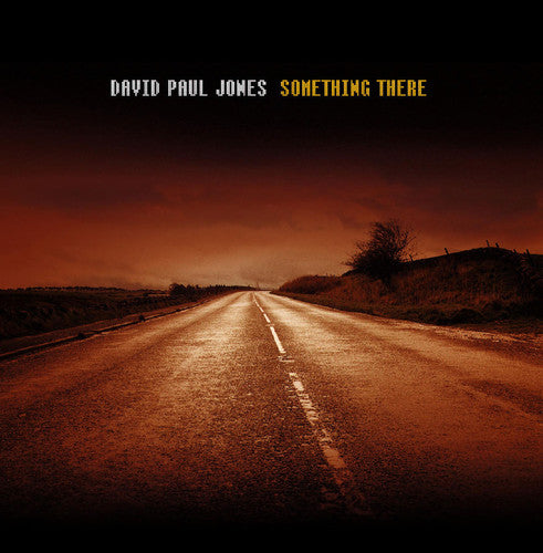 the album cover for David Jones Paul - Something There