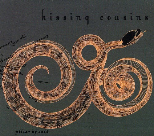 the album cover for Kissing Cousins - Pillar of Salt