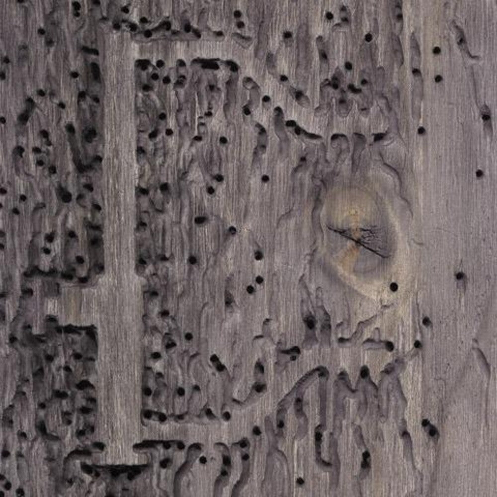 the album cover for Dj Signify - Sleep No More