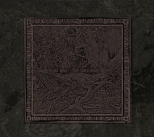 the album cover for Negura Bunget - From Transilvanian Forest