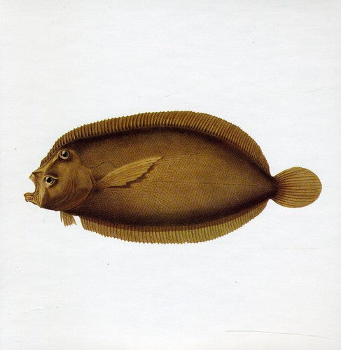 the album cover for Blue Water White Death - Blue Water White Death