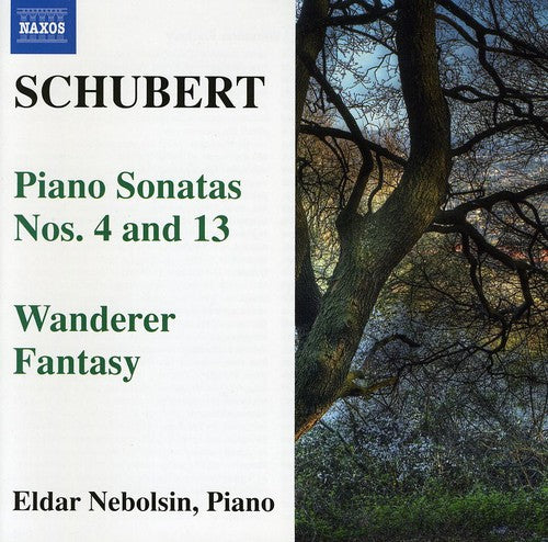 the album cover for Eldar Nebolsin - Piano Sonatas / Wanderer Fantasy