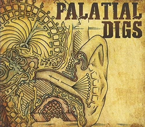 the album cover for Platial Digs - Platial Digs