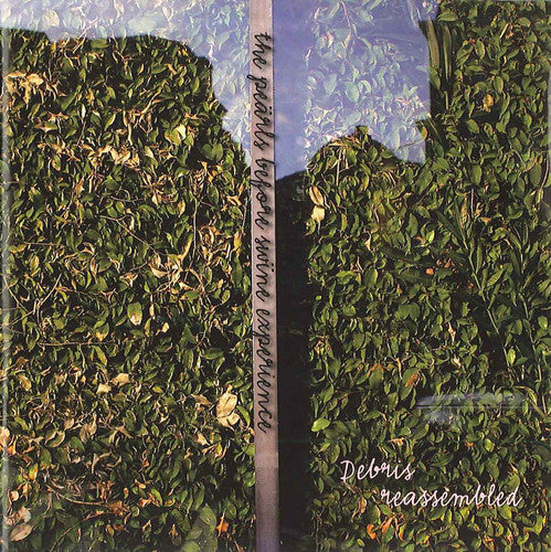 the album cover for Pearls Before Swine Experience - Pearls Before Swine