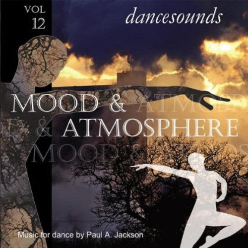 the album cover for Paul A. Jackson - Dancesounds: Mood & Atmoshere Vol. 12