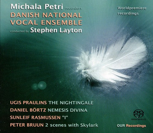 the album cover for Ameritz Digital Karaoke - Nightingale