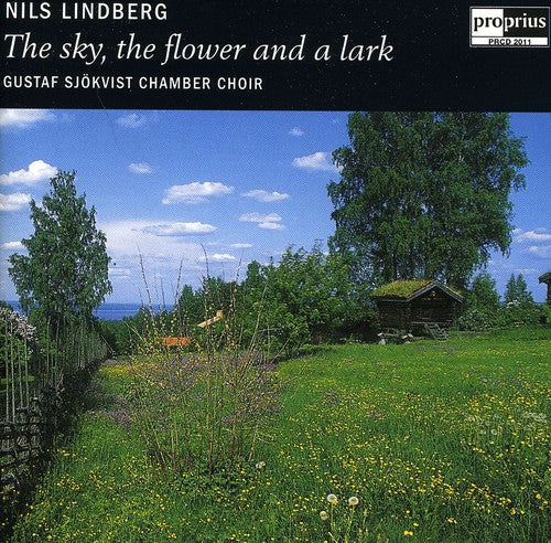 the album cover for Gustaf Sjokvist - Sky the Flower & a Lark