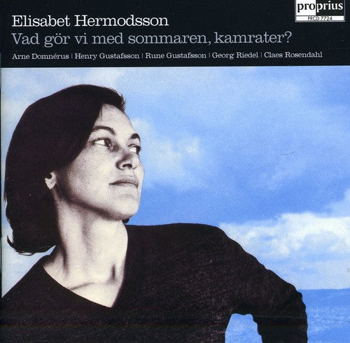 the album cover for Hermodsson / Domnerus / Riedel / Gustafsson - Vad Gor Vi Med Sommaren Kamra