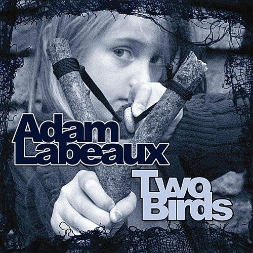 the album cover for Adam Labeaux - Two Birds