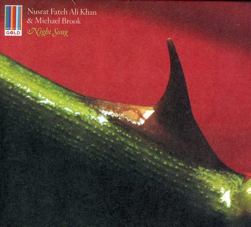 the album cover for Nusrat Fateh /Ali Khan & Michael Brook - Night Song