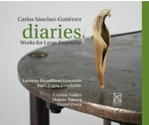 the album cover for Juan Trigos - Diaries - Works for Large Ensemble