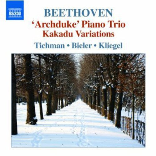 the album cover for Xyrion Trio - Piano Trios 5