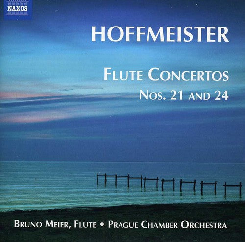 the album cover for Bruno Meier - Flute Concertos 1