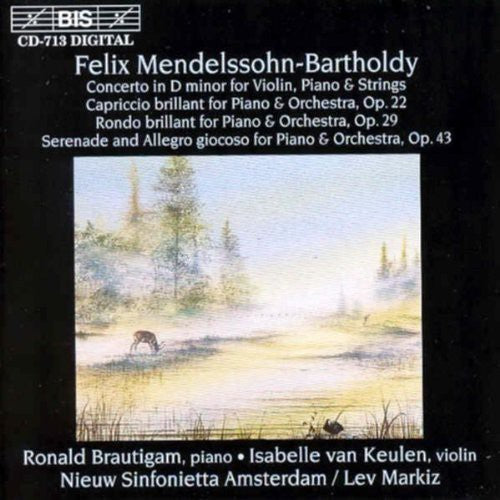 the album cover for Lev Markiz - Concerto in D minor