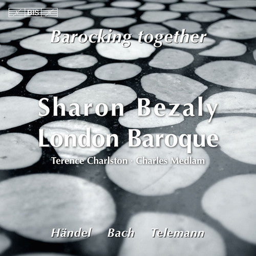 the album cover for Terence R. Charlston - Sonatas for Flute