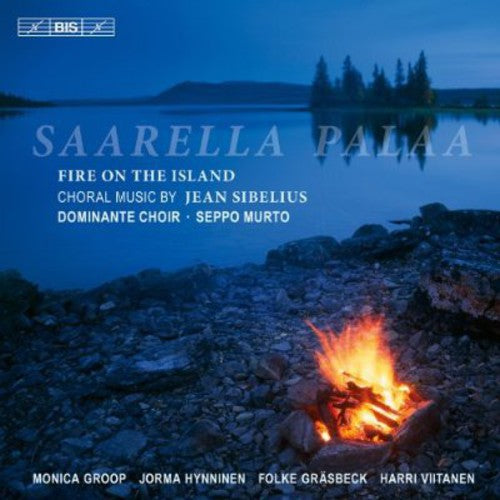 the album cover for Seppo Murto - Fire on the Island
