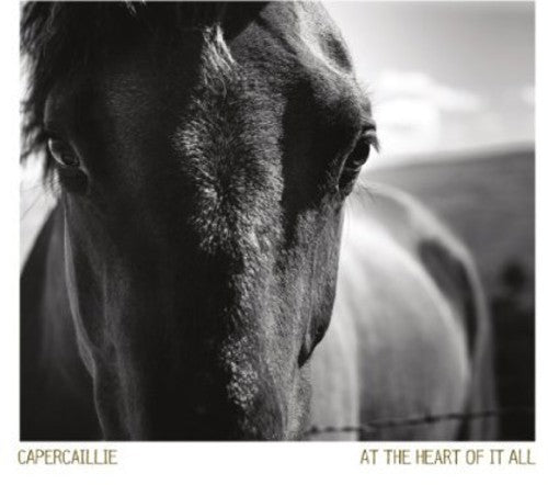 the album cover for Capercaillie - At the Heart of It All