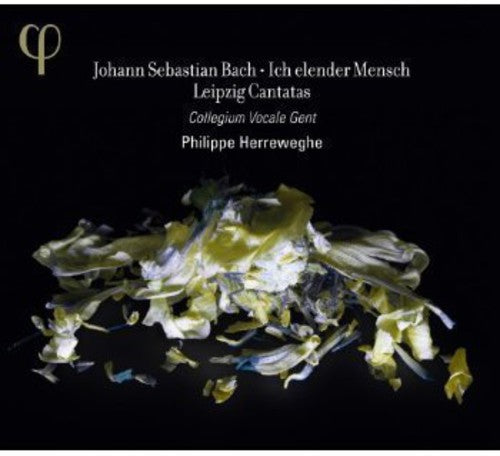 the album cover for Collegium Vocale Gent - Ich Elender Mensch: Leipzig Cantatas