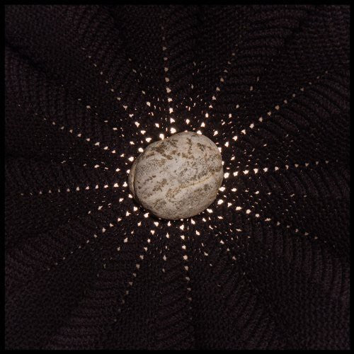 the album cover for Nat Baldwin - In the Hollows