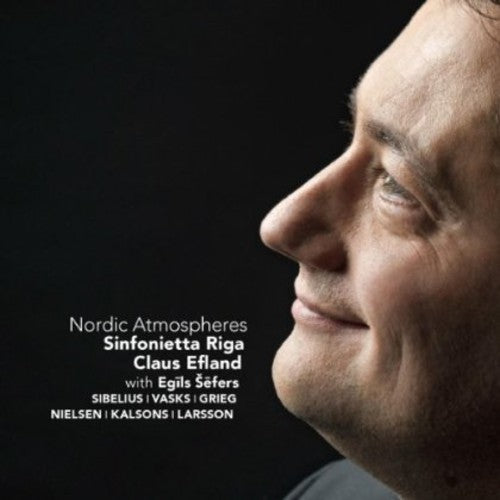 the album cover for Riga / Sefers / Efland - Nordic Atmospheres