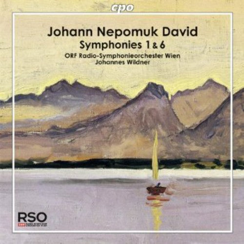 the album cover for Vienna Radio Symphony Orchestra - Symphonies 1 & 6