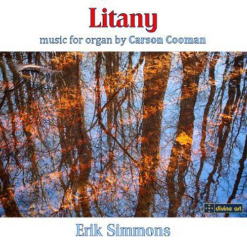 the album cover for Erik Simmons - Litany