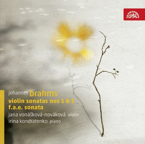 the album cover for Brahms / Dietrich / Schumann / Vonaskova - Violin Sonatas