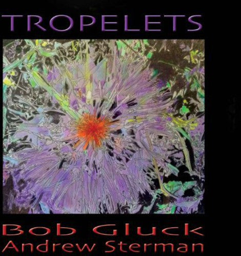 the album cover for Bob Gluck -Andrew Sterman - Tropelets