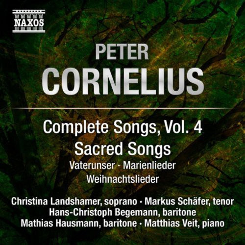 the album cover for Markus Schafer - Comp Songs Vol 4