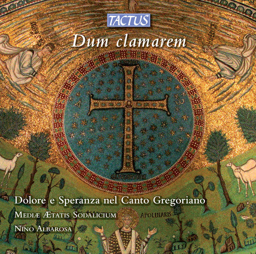 the album cover for Nino Albarosa - Sorrow & Hope in Gregorian Chant / Various