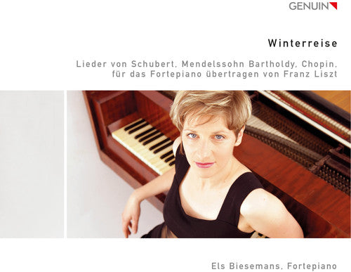 the album cover for Liszt / Schubert / Chopin / Biesemans - Winterreise