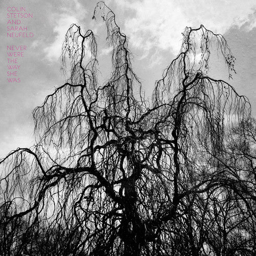 the album cover for Colin Stetson - Never Were the Way She Was