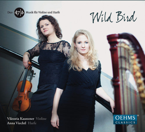 the album cover for Dinescu / Kaunzner / Viechtl - Wild Bird