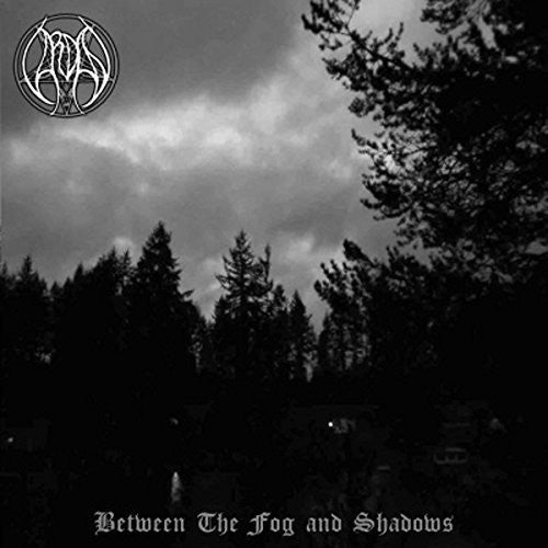 the album cover for Vardan - Between The Fog and Shadows