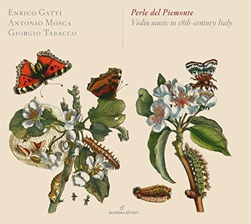 the album cover for Somis / Gatti / Mosca / Tabacco - Perle Del Piemonte - Violin Music in 18Th-Century