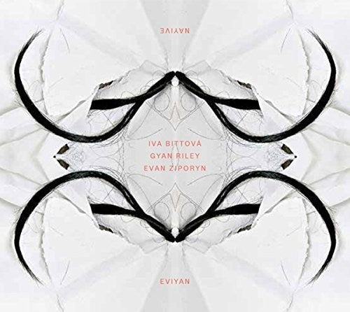 the album cover for Iva Bittov - Eviyan