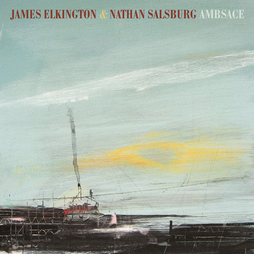 the album cover for James Elkington / Salsburg,Nathan - Ambsace